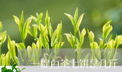 一提白茶七饼是几斤/2023121514251