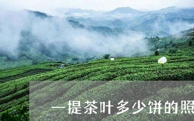 一提茶叶多少饼的照片/2023071685058