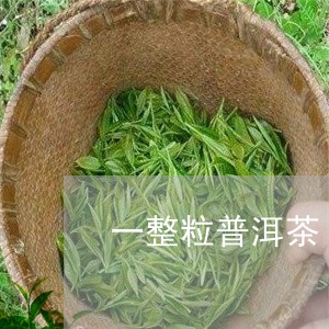 一整粒普洱茶/2023042580399