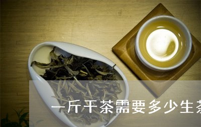 一斤干茶需要多少生茶/2023071679379