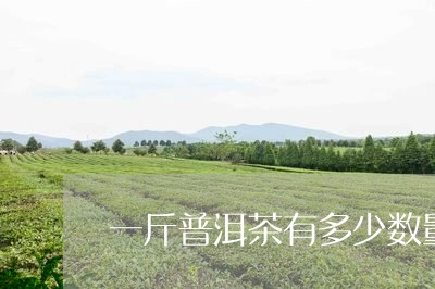 一斤普洱茶有多少数量/2023072146261