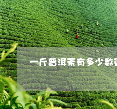 一斤普洱茶有多少数量/2023092680829