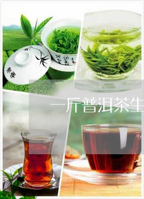 一斤普洱茶生茶价格表/2023093089581