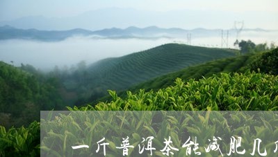 一斤普洱茶能减肥几斤/2023061619363