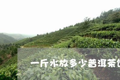 一斤水放多少普洱茶饼好/2023082833060