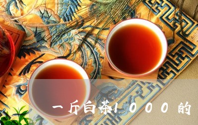 一斤白茶1000的/2023071473706