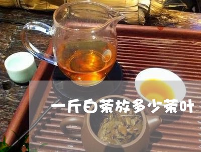 一斤白茶放多少茶叶/2023121547150