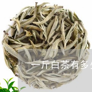 一斤白茶有多少茶叶/2023071457272