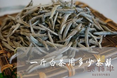 一斤白茶用多少茶头/2023071442804