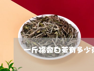 一斤福鼎白茶有多少克茶叶/2023111689585