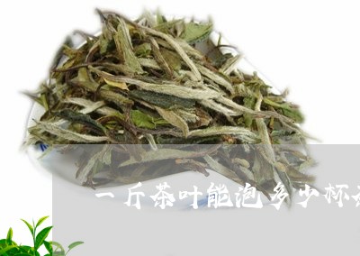 一斤茶叶能泡多少杯茶/2023092359381