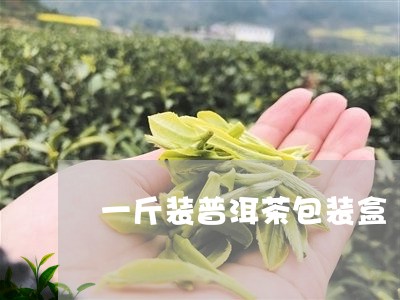 一斤装普洱茶包装盒/2023091558461