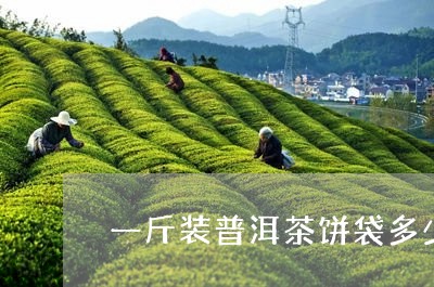 一斤装普洱茶饼袋多少钱/2023102407260