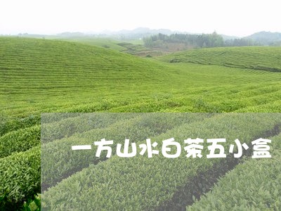 一方山水白茶五小盒/2023081261593