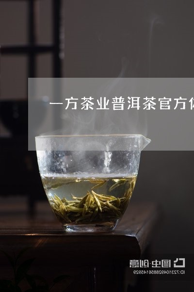 一方茶业普洱茶官方体验店/2023082508348