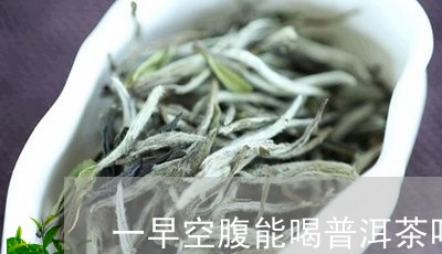 一早空腹能喝普洱茶吗吗/2023050427371