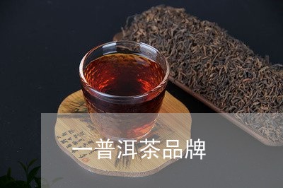 一普洱茶品牌/2023042660638