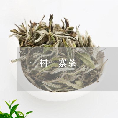 一村一寨茶/2023041773260