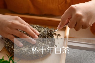 一杯十年白茶/2023051239170