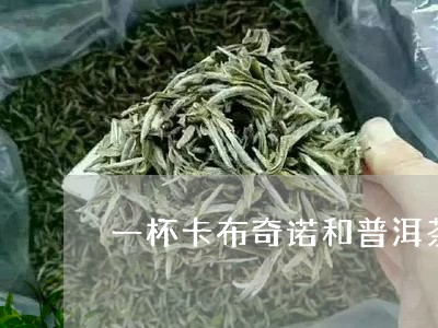 一杯卡布奇诺和普洱茶/2023092546260