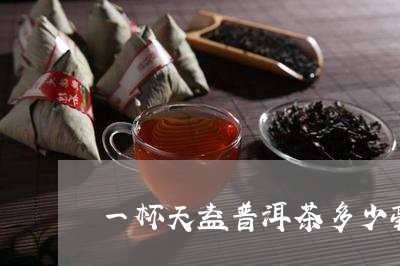 一杯天益普洱茶多少毫升/2023103103936