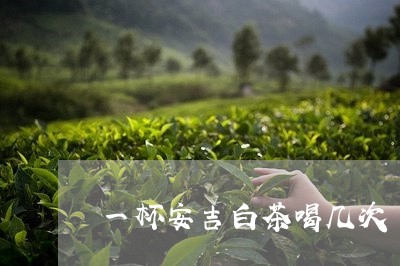 一杯安吉白茶喝几次/2023071422049