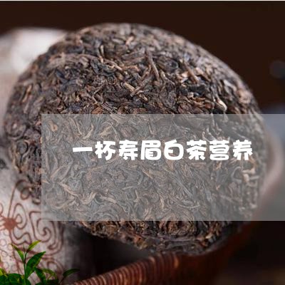 一杯寿眉白茶营养/2023090885937