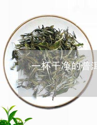 一杯干净的普洱茶好吗怎么泡/2023052936169