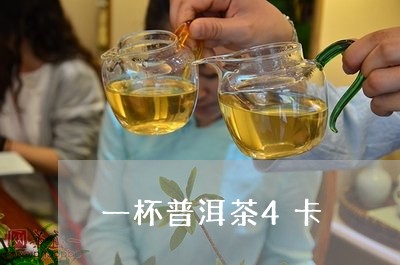 一杯普洱茶4卡/2023120348573