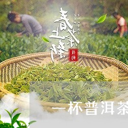 一杯普洱茶可以冲泡一天吗/2023051309594