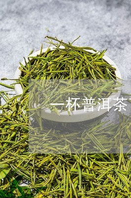 一杯普洱茶可以喝多久/2023072303016