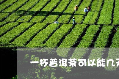 一杯普洱茶可以能几天/2023092775829