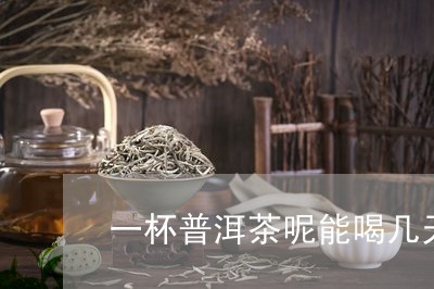 一杯普洱茶呢能喝几天/2023061535279