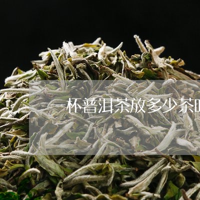 一杯普洱茶放多少茶叶/2023093040714