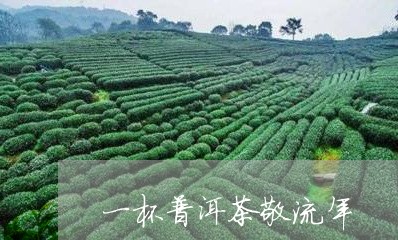 一杯普洱茶敬流年/2023112675057