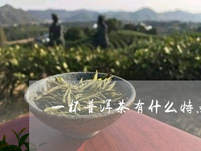 一杯普洱茶有什么特点/2023092884716