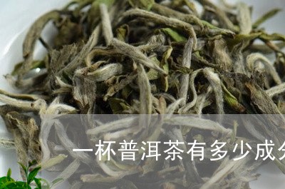 一杯普洱茶有多少成分的茶/2023082856279