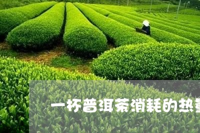 一杯普洱茶消耗的热量/2023092712616