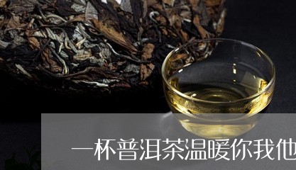 一杯普洱茶温暖你我他/2023072277259