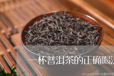 一杯普洱茶的正确喝法/2023092646259