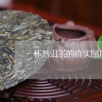 一杯普洱茶的真实图片/2023061572824