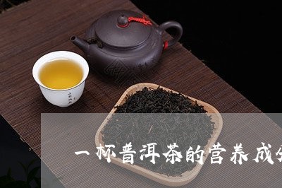 一杯普洱茶的营养成分/2023061382794