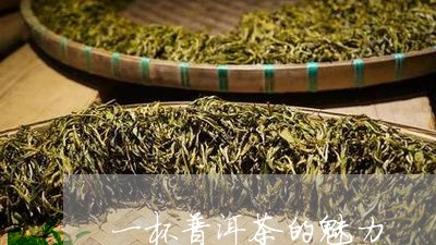 一杯普洱茶的魅力/2023120429382