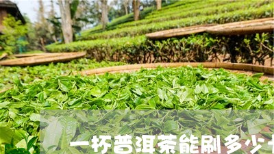 一杯普洱茶能刷多少卡/2023062884814