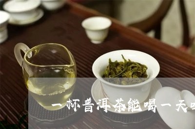 一杯普洱茶能喝一天吗/2023092582914