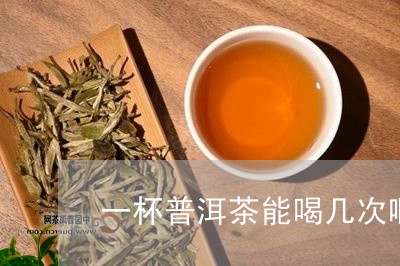 一杯普洱茶能喝几次啊多少钱/2023082871825