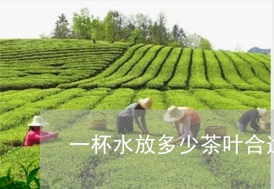 一杯水放多少茶叶合适/2023092351614