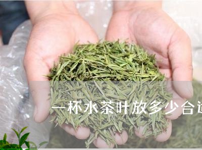 一杯水茶叶放多少合适/2023092315047