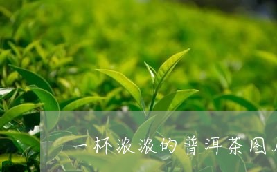 一杯浓浓的普洱茶图片/2023120673026