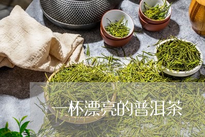 一杯漂亮的普洱茶/2023120429373